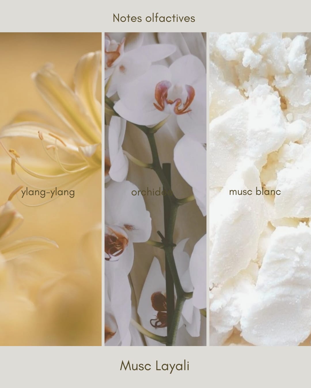 Bougie SHUKR — Musc Layali