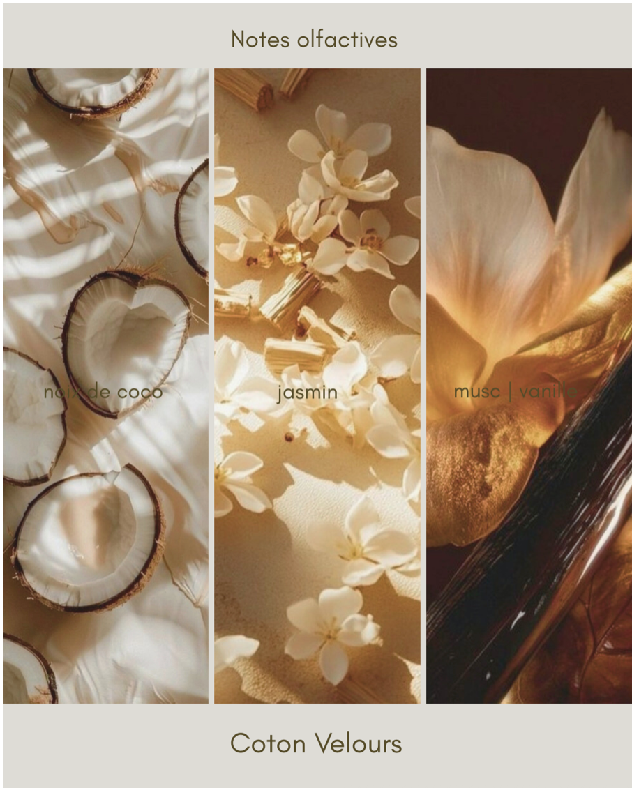 Bougie SABR – Coton Velours