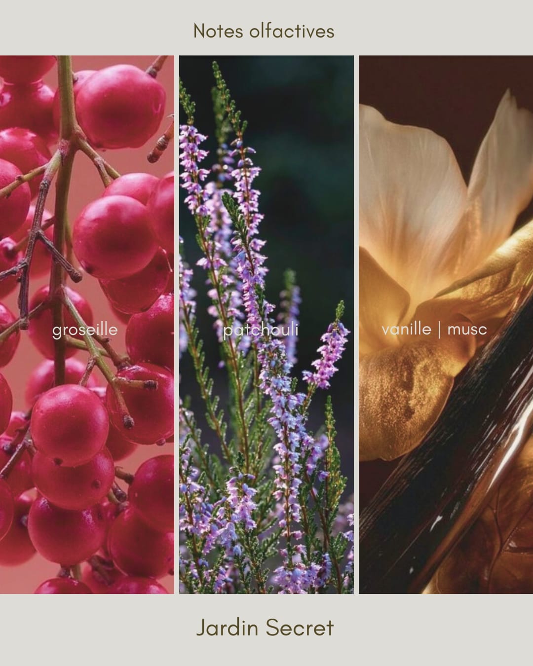 Bougie HOUB — Jardin Secret